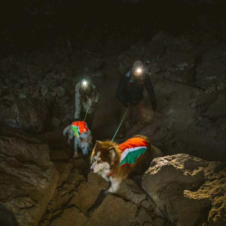 Ruffwear Lumenglow High-Vis Jacket - Image 6